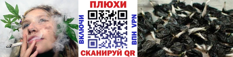 ГАШ Premium  Сасово 