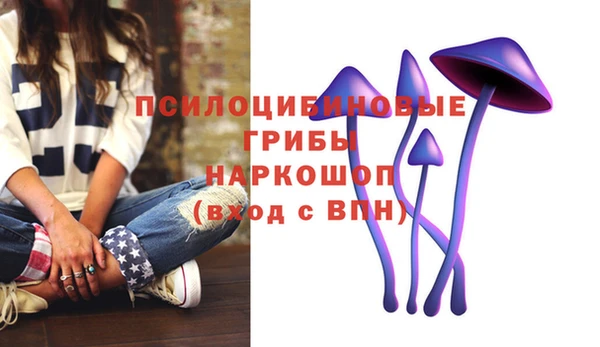 ГАЛЛЮЦИНОГЕННЫЕ ГРИБЫ Елабуга