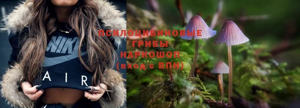 МДМА Елизово