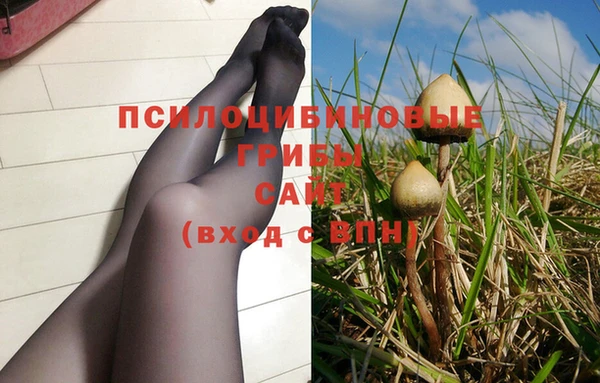 ГАЛЛЮЦИНОГЕННЫЕ ГРИБЫ Елабуга