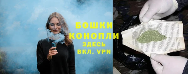 индика Шали