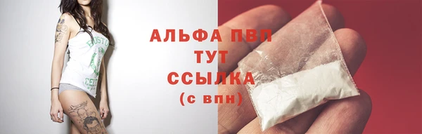 ГАЛЛЮЦИНОГЕННЫЕ ГРИБЫ Елабуга