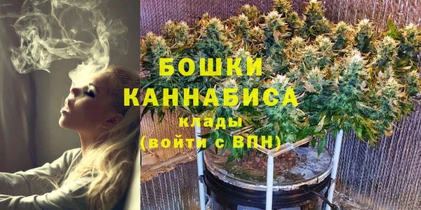 ГАЛЛЮЦИНОГЕННЫЕ ГРИБЫ Елабуга