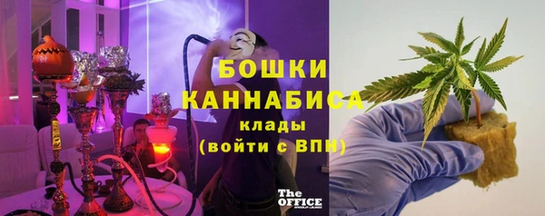 ГАЛЛЮЦИНОГЕННЫЕ ГРИБЫ Елабуга
